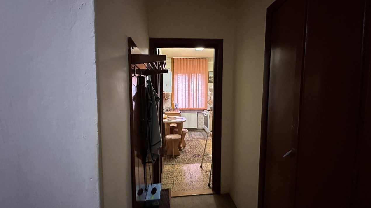 Apartamente de vanzare Timisoara Central 8