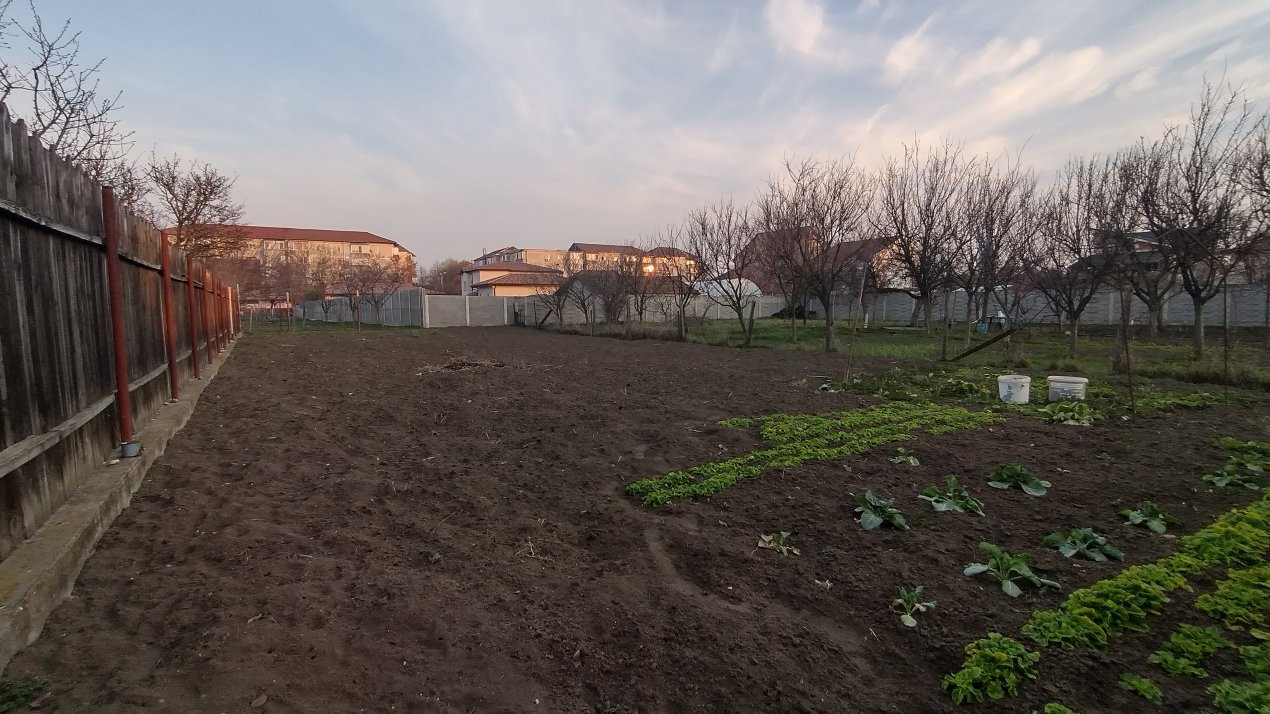 Casa individuala 3 camere, Mehala - Teren 1142 mp, zona linistita 11, foxfort.ro