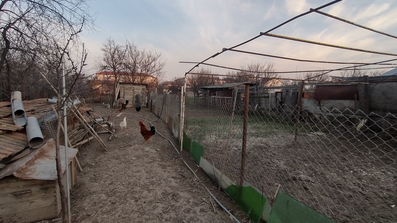 Casa individuala 3 camere, Mehala - Teren 1142 mp, zona linistita 13, foxfort.ro