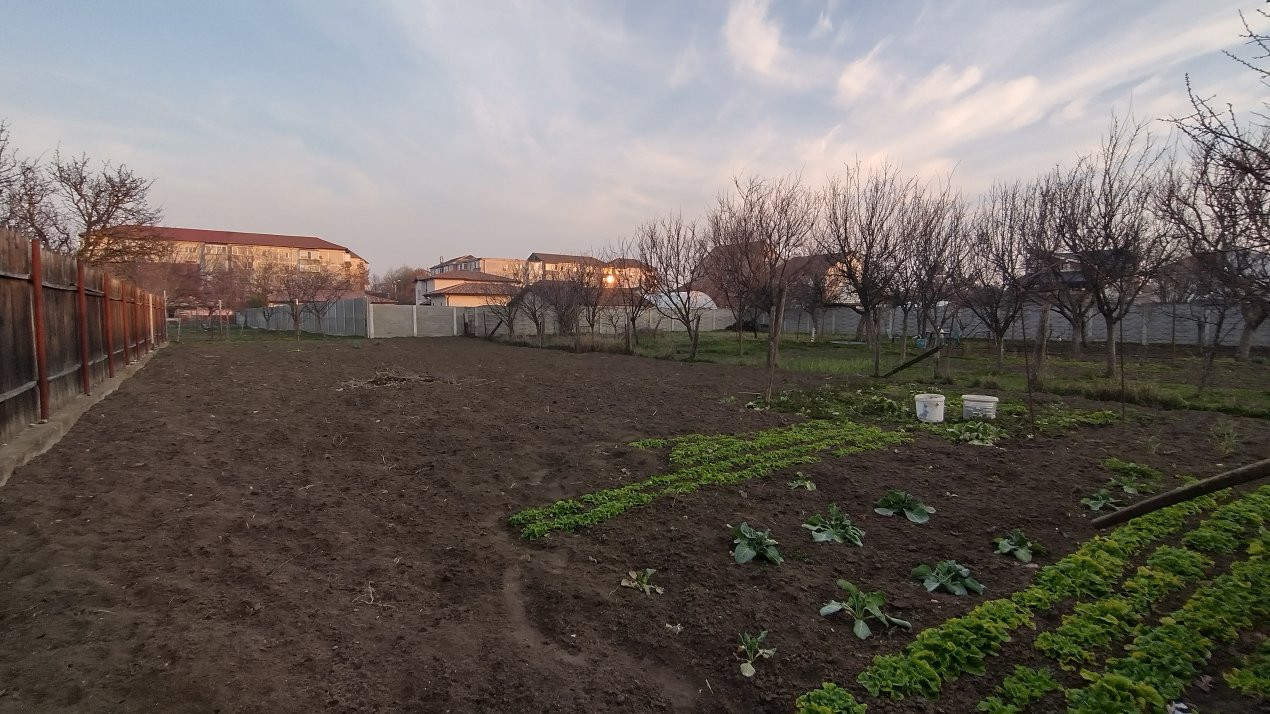 Casa individuala 3 camere, Mehala - Teren 1142 mp, zona linistita 14, foxfort.ro