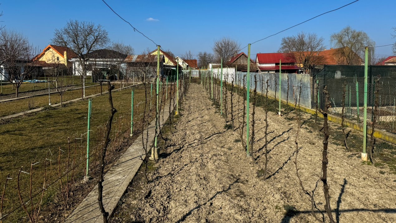 COMISION 0% O casa cu istorie si suflet 250 Mp si 1600 mp de gradina - V7977 21, foxfort.ro