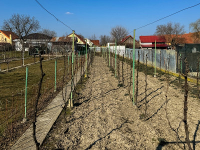 COMISION 0% O casa cu istorie si suflet 250 Mp si 1600 mp de gradina - V7977 imagine mica 21, foxfort.ro