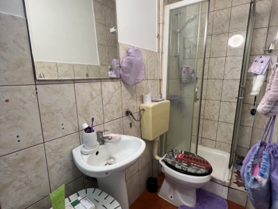 Apartamente de vanzare Timisoara Elisabetin imagine mica 5