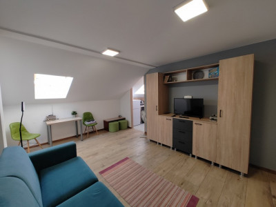 Apartamente de inchiriat Timisoara Bogdanestilor imagine mica 2