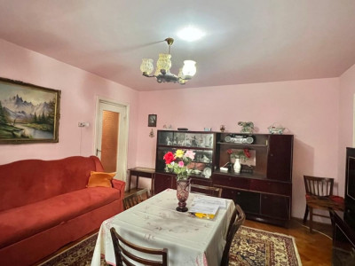 Apartament 2 camere de vanzare, zona Dambovita imagine mica 14, foxfort.ro