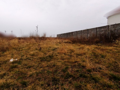 Teren intravilan pretabil constructii, Sacalaz - Asfalt, utilitati la strada imagine mica 2, foxfort.ro