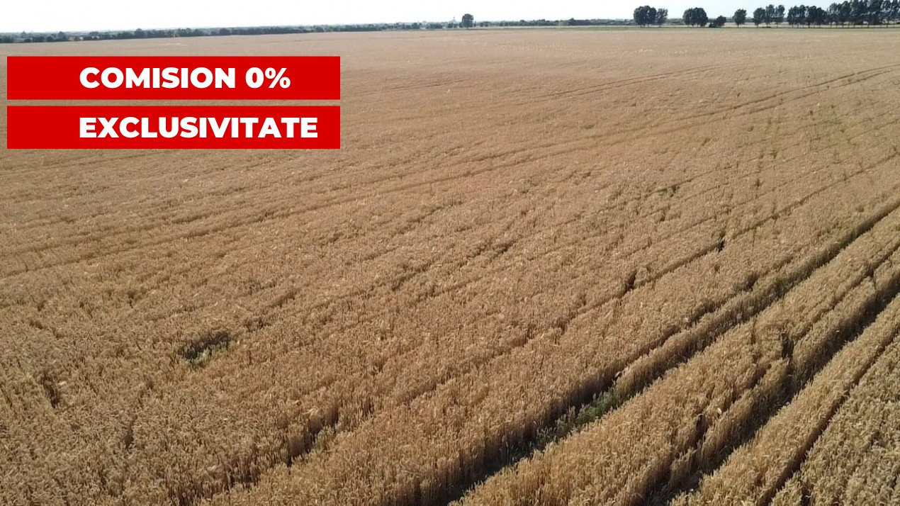 COMISION 0% Teren de vanzare intravilan de 24.700 mp - Padureni 10, foxfort.ro