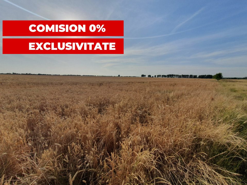 COMISION 0% Teren de vanzare intravilan de 24.700 mp - Padureni 11, foxfort.ro