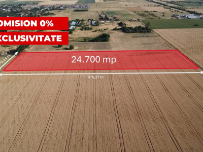 COMISION 0% Teren de vanzare intravilan de 24.700 mp - Padureni