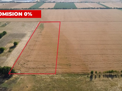 COMISION 0% Teren de vanzare intravilan de 24.700 mp - Padureni imagine mica 4, foxfort.ro