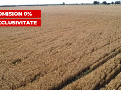 COMISION 0% Teren de vanzare intravilan de 24.700 mp - Padureni imagine mica 10, foxfort.ro