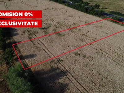 COMISION 0% Teren de vanzare intravilan de 1.600 mp - Padureni imagine mica 4, foxfort.ro