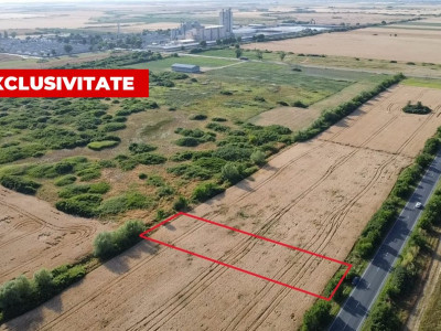 COMISION 0% Teren de vanzare intravilan de 1.600 mp - Padureni imagine mica 5, foxfort.ro