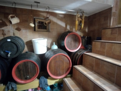 Casa individuala de vanzare, zona Mircea cel Batran - Garaj si pivnita imagine mica 15, foxfort.ro