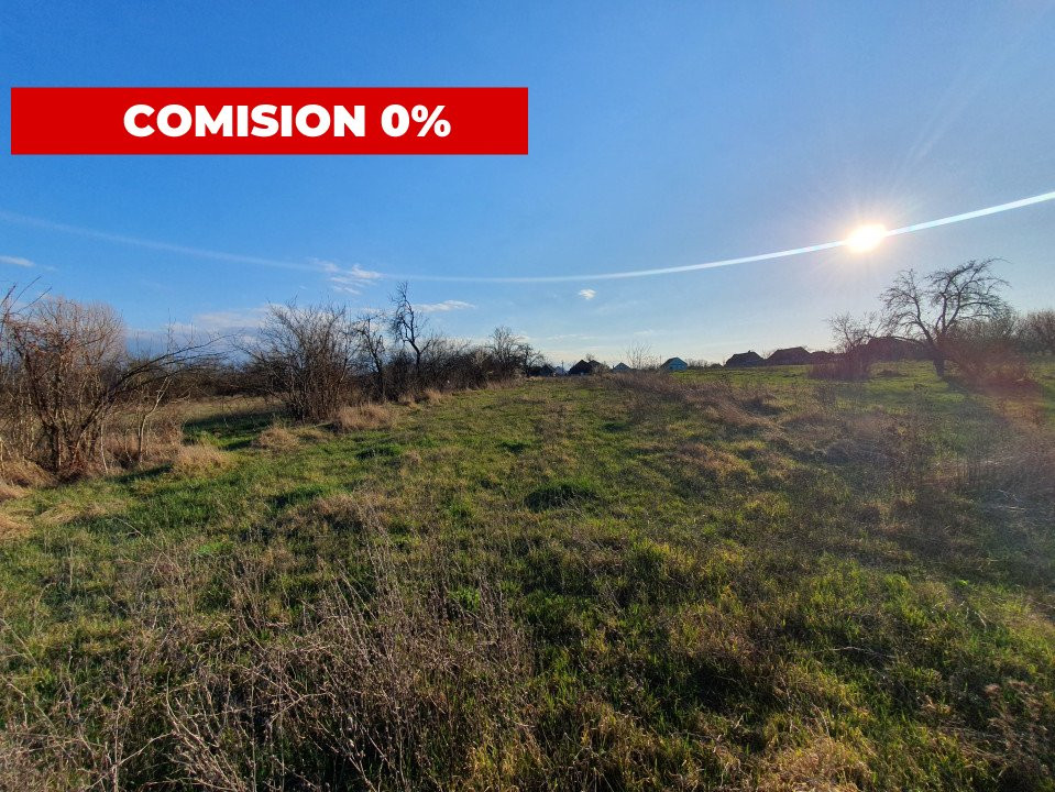 COMISION 0% Casa individuala cu teren de 3930 mp - Padureni 3, foxfort.ro