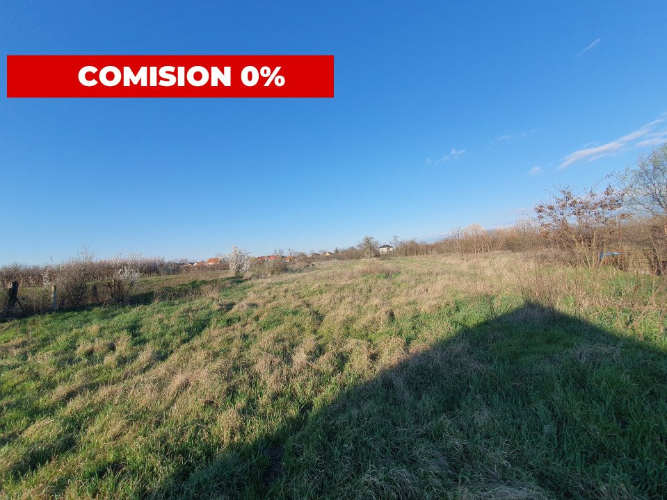 COMISION 0% Casa individuala cu teren de 3930 mp - Padureni 6, foxfort.ro