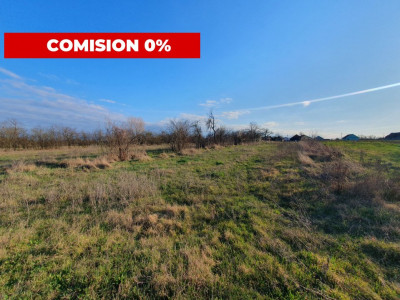 COMISION 0% Casa individuala cu teren de 3930 mp - Padureni