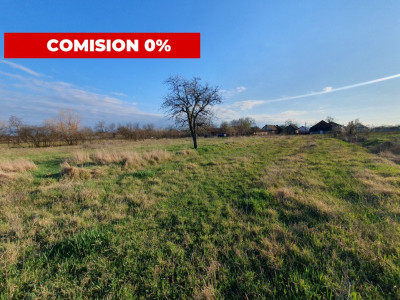 COMISION 0% Casa individuala cu teren de 3930 mp - Padureni imagine mica 2, foxfort.ro