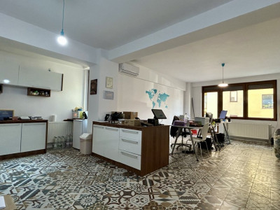 Apartament de vanzare 2 camere + terasa 123 mp Timisoara