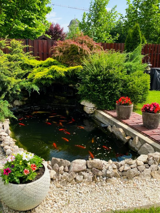 Casa individuala 5 camere si 4 locuri de parcare in Giroc   16, foxfort.ro