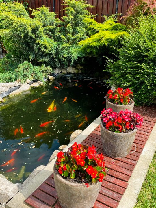 Casa individuala 5 camere si 4 locuri de parcare in Giroc   30, foxfort.ro