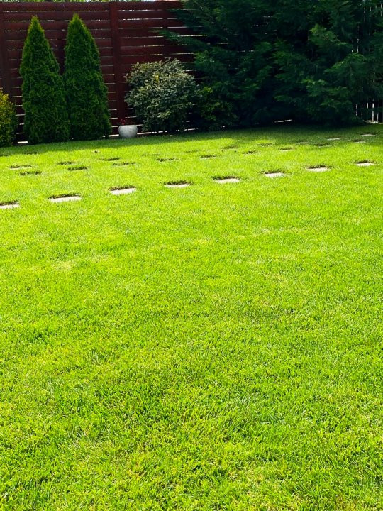 Casa individuala 5 camere si 4 locuri de parcare in Giroc   31, foxfort.ro