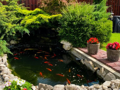 Casa individuala 5 camere si 4 locuri de parcare in Giroc imagine mica 16, foxfort.ro