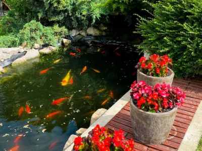 Casa individuala 5 camere si 4 locuri de parcare in Giroc imagine mica 30, foxfort.ro