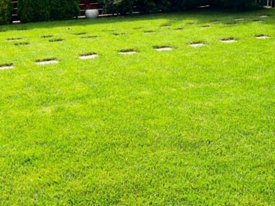 Casa individuala 5 camere si 4 locuri de parcare in Giroc imagine mica 31, foxfort.ro