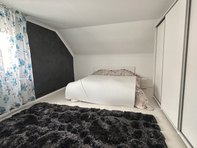 Casa individuala 8 camere, 400 mp, in Mosnita Noua vatra satului imagine mica 11, foxfort.ro