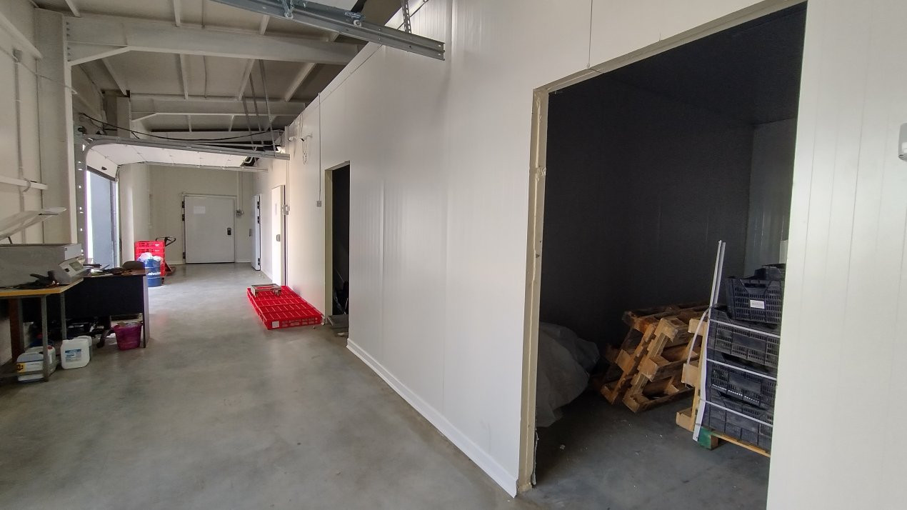 Inchiriere spatiu depozitare produse alimentare, Sacalaz 6, foxfort.ro