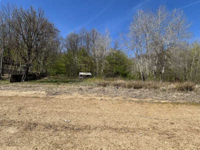 Comision 0% Teren de vanzare 6000 mp cu iesire la Lac Surduc imagine mica 2, foxfort.ro