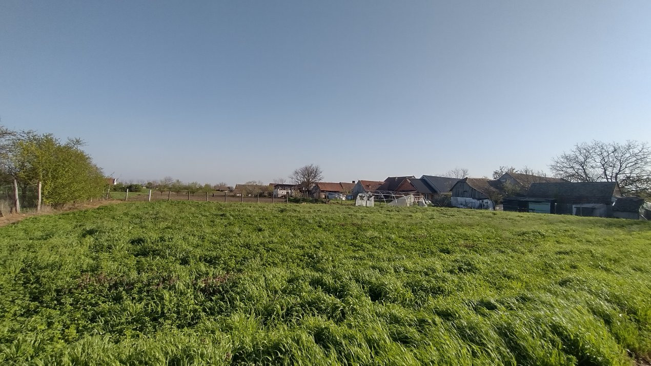 COMISION 0% Teren intravilan constructii, Checea - 1000 mp, asfalt, utilitati 6, foxfort.ro