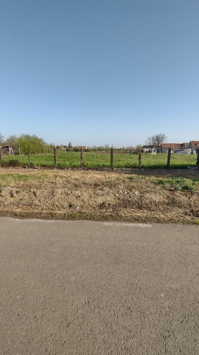 COMISION 0% Teren intravilan constructii, Checea - 1000 mp, asfalt, utilitati 7, foxfort.ro