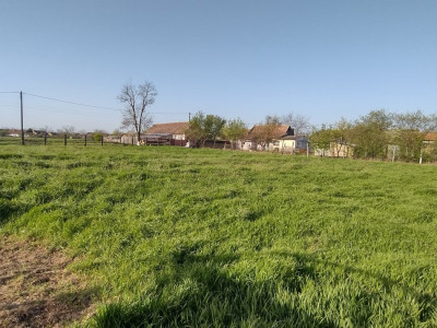 COMISION 0% Teren intravilan constructii, Checea - 1000 mp, asfalt, utilitati imagine mica 2, foxfort.ro