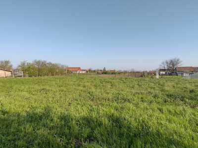 COMISION 0% Teren intravilan constructii, Checea - 1000 mp, asfalt, utilitati imagine mica 5, foxfort.ro