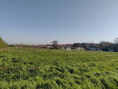 COMISION 0% Teren intravilan constructii, Checea - 1000 mp, asfalt, utilitati imagine mica 6, foxfort.ro