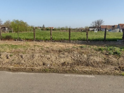 COMISION 0% Teren intravilan constructii, Checea - 1000 mp, asfalt, utilitati imagine mica 7, foxfort.ro