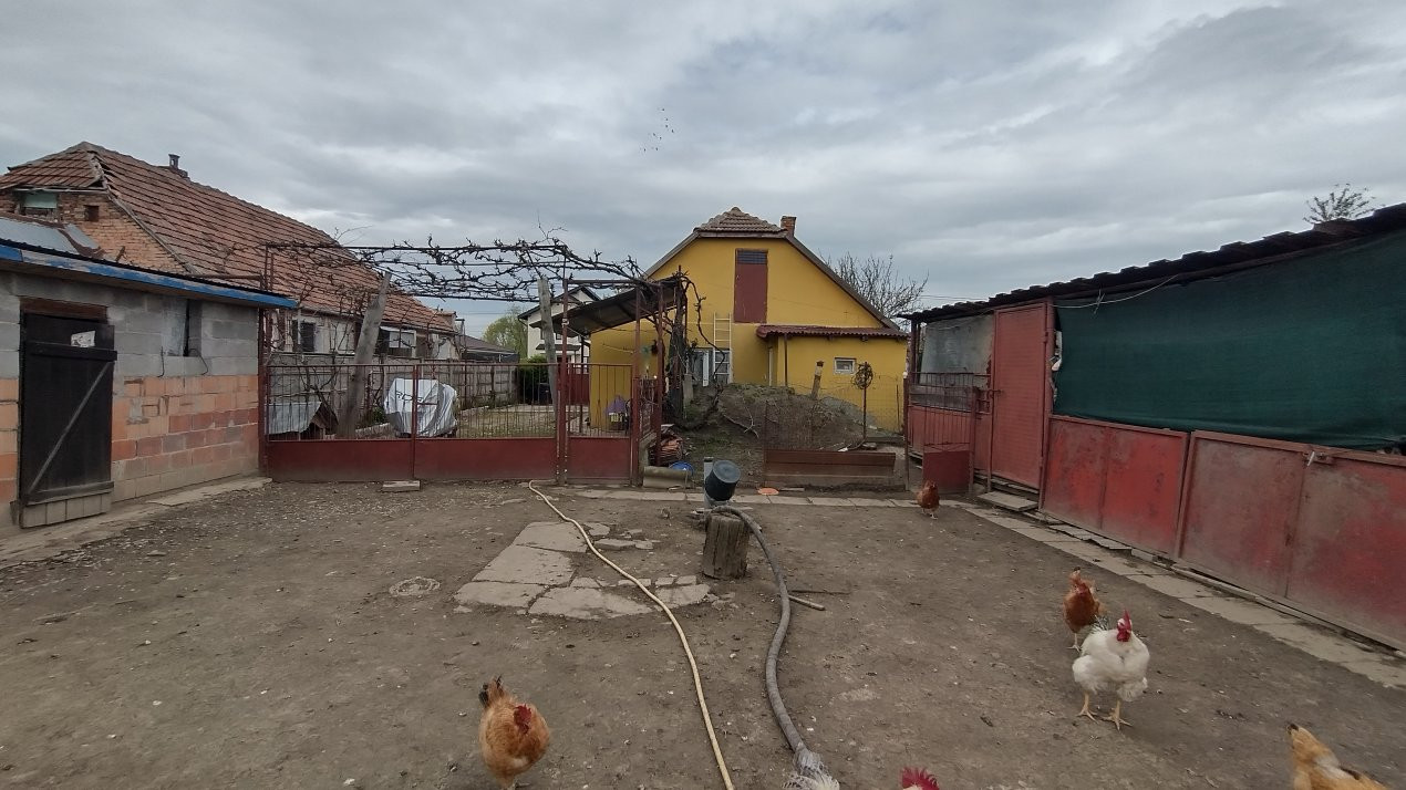 Casa individuala 3 camere, Sanmihaiu Roman - Anexe, 1062 mp teren 10, foxfort.ro