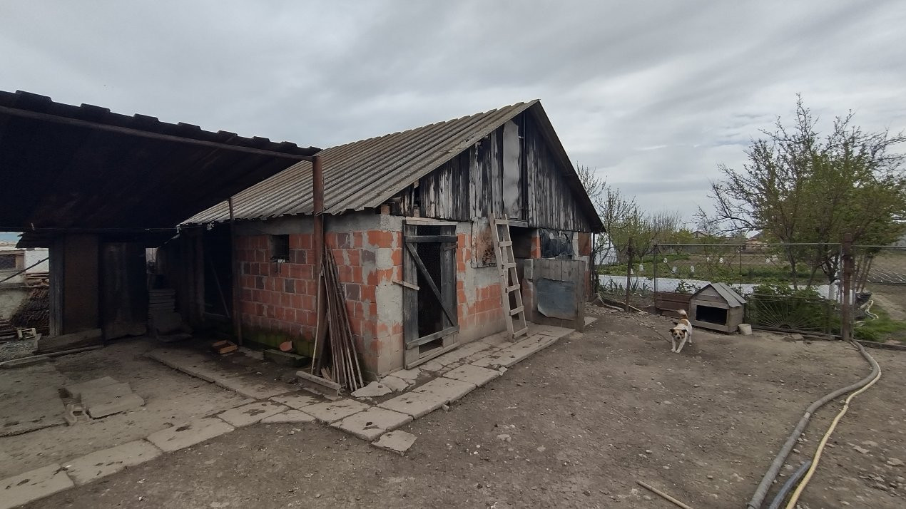 Casa individuala 3 camere, Sanmihaiu Roman - Anexe, 1062 mp teren 12, foxfort.ro