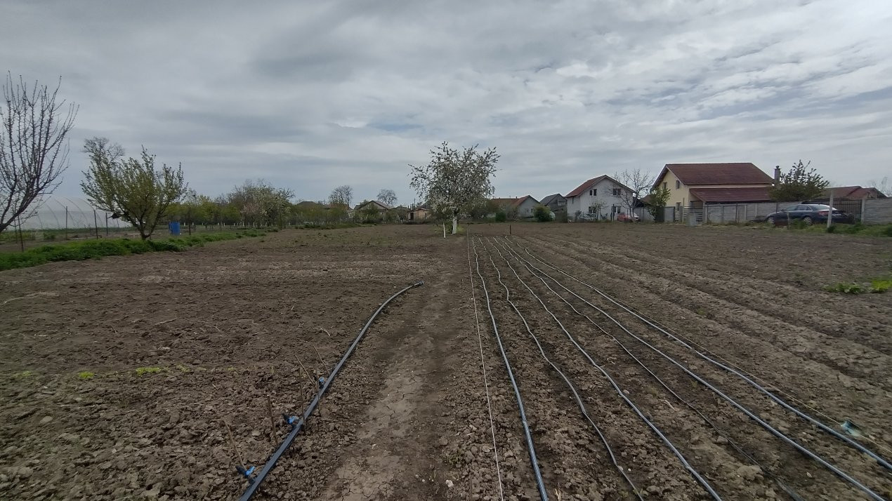 Casa individuala 3 camere, Sanmihaiu Roman - Anexe, 1062 mp teren 14, foxfort.ro