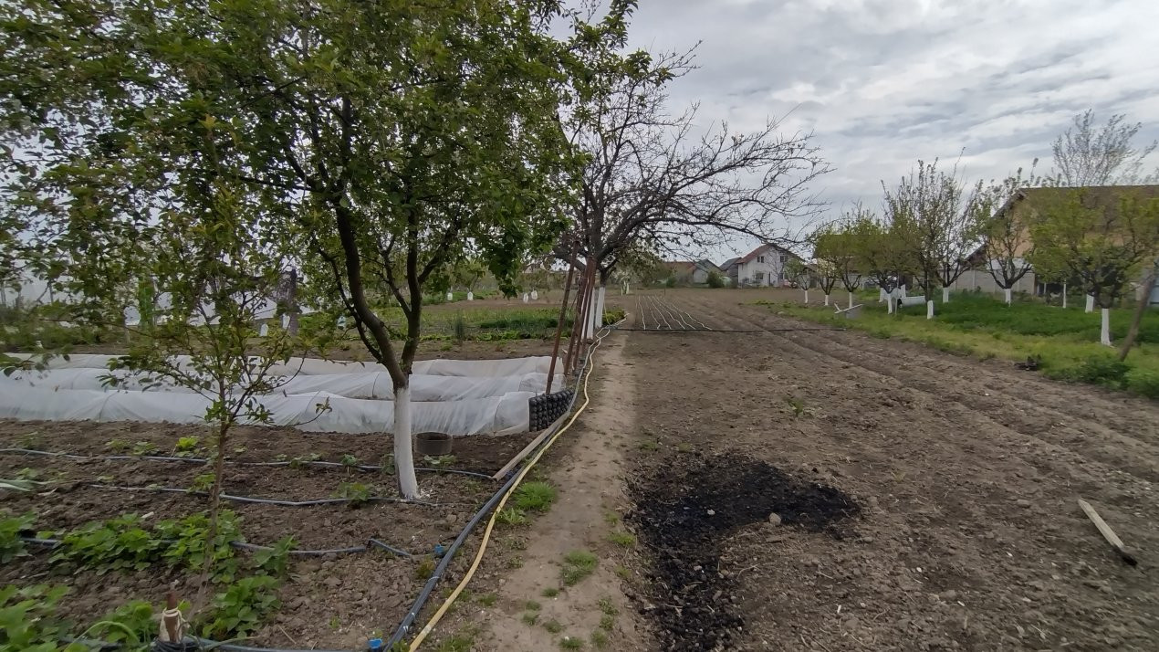 Casa individuala 3 camere, Sanmihaiu Roman - Anexe, 1062 mp teren 15, foxfort.ro