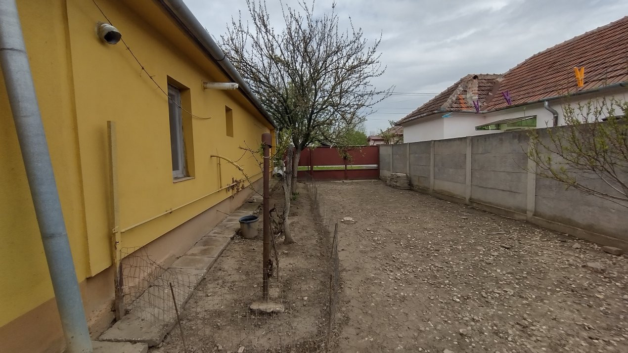 Casa individuala 3 camere, Sanmihaiu Roman - Anexe, 1062 mp teren 19, foxfort.ro