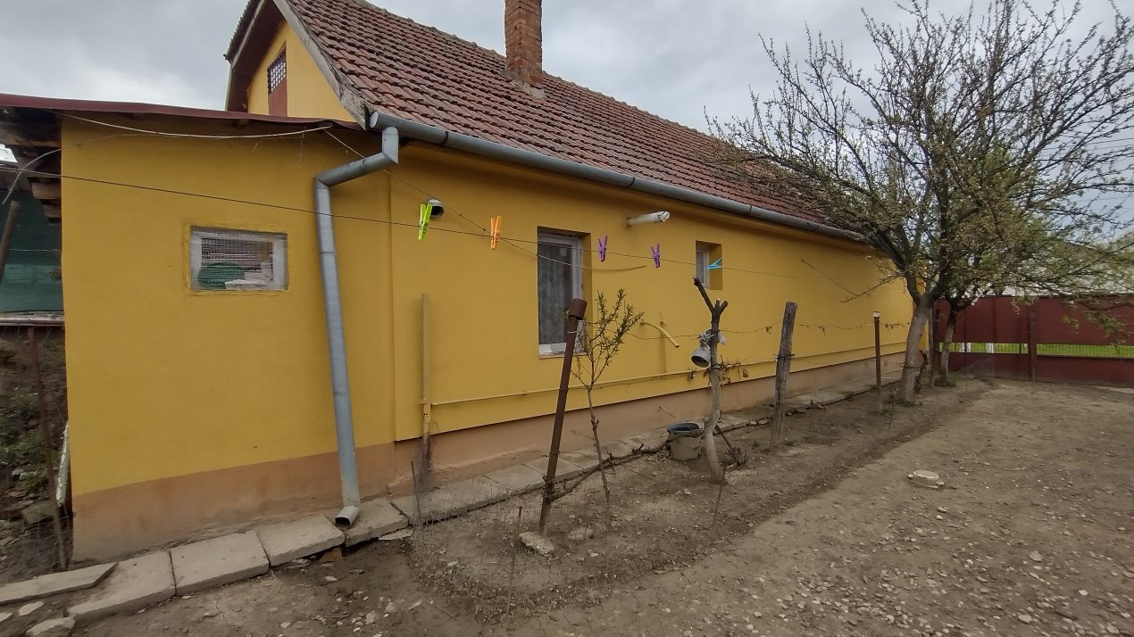 Casa individuala 3 camere, Sanmihaiu Roman - Anexe, 1062 mp teren 20, foxfort.ro