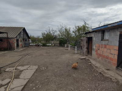 Casa individuala 3 camere, Sanmihaiu Roman - Anexe, 1062 mp teren imagine mica 11, foxfort.ro