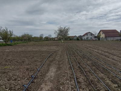 Casa individuala 3 camere, Sanmihaiu Roman - Anexe, 1062 mp teren imagine mica 14, foxfort.ro