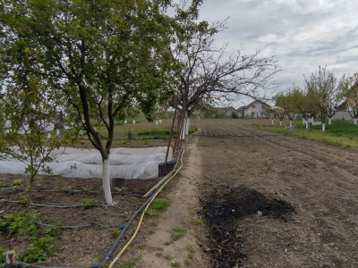 Casa individuala 3 camere, Sanmihaiu Roman - Anexe, 1062 mp teren imagine mica 15, foxfort.ro