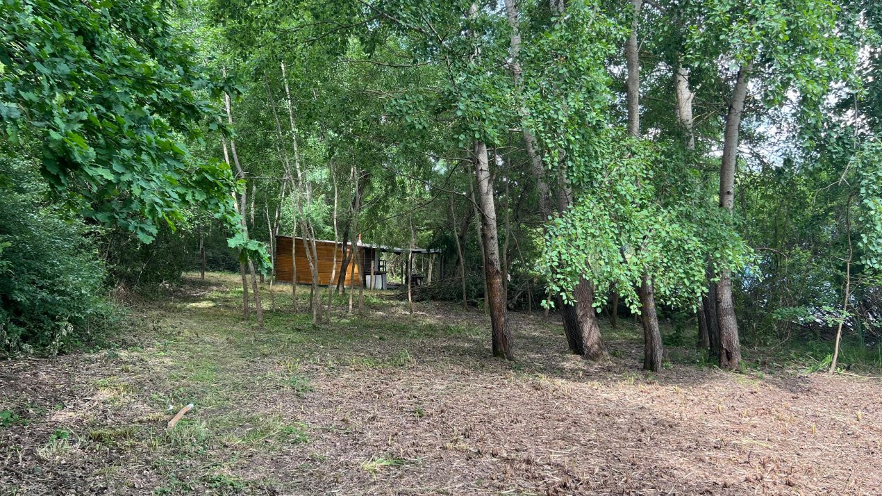 Teren de vanzare 6000 mp cu iesire la Lac Surduc 7, foxfort.ro