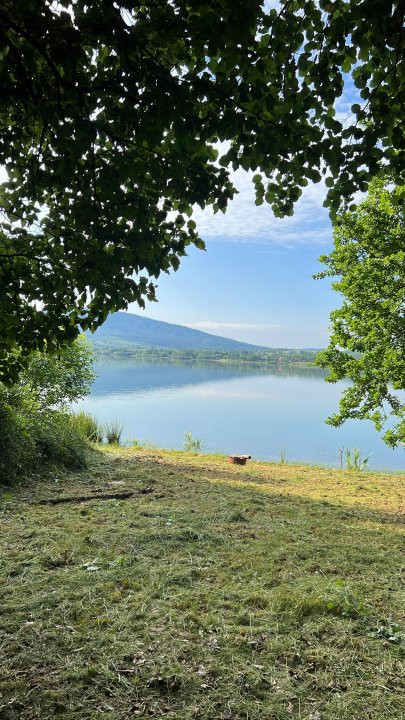 Teren de vanzare 6000 mp cu iesire la Lac Surduc 8, foxfort.ro