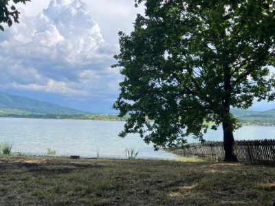 Teren de vanzare 6000 mp cu iesire la Lac Surduc imagine mica 5, foxfort.ro